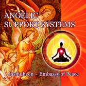 Angelic Support Systems